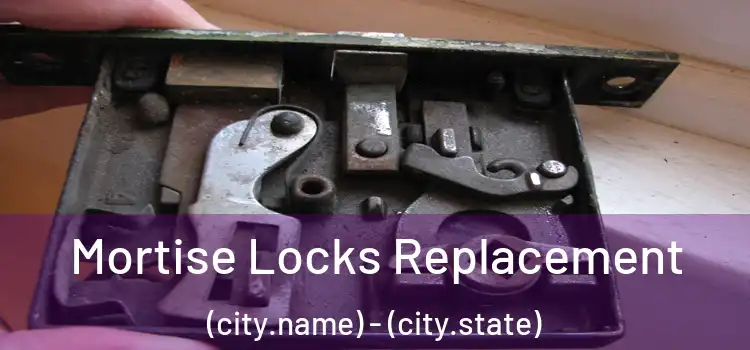 Mortise Locks Replacement (city.name) - (city.state)